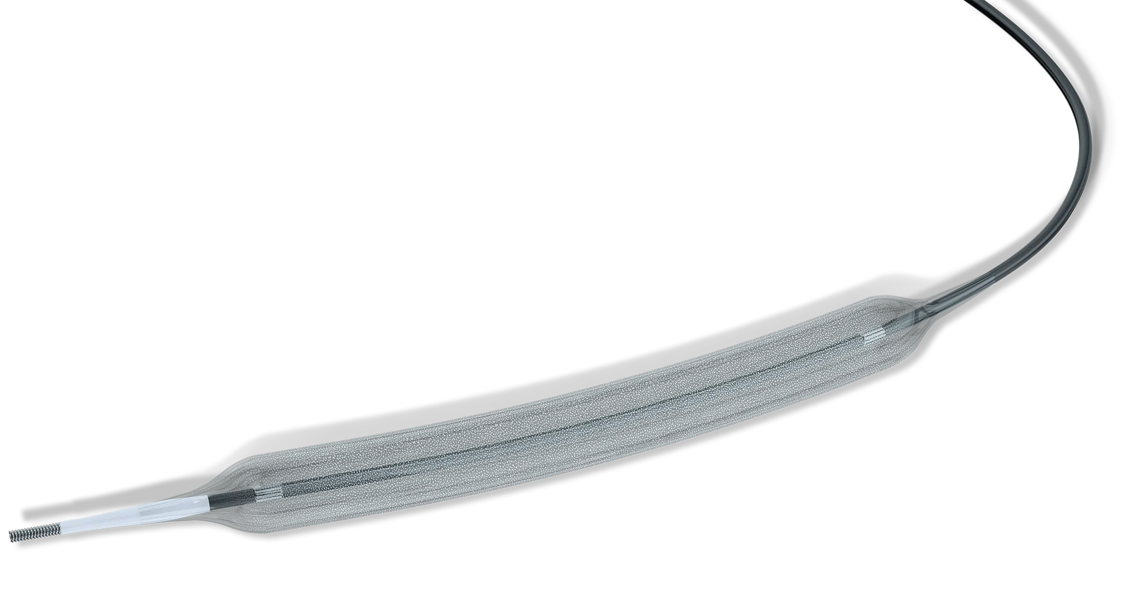 Right Image 3