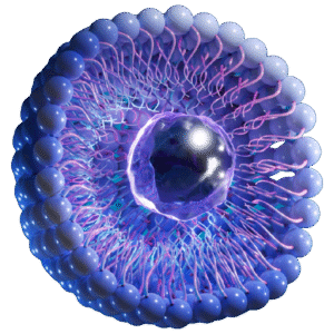 Nanolute - Sirolimus Coated Balloon- MagicTouch PTA