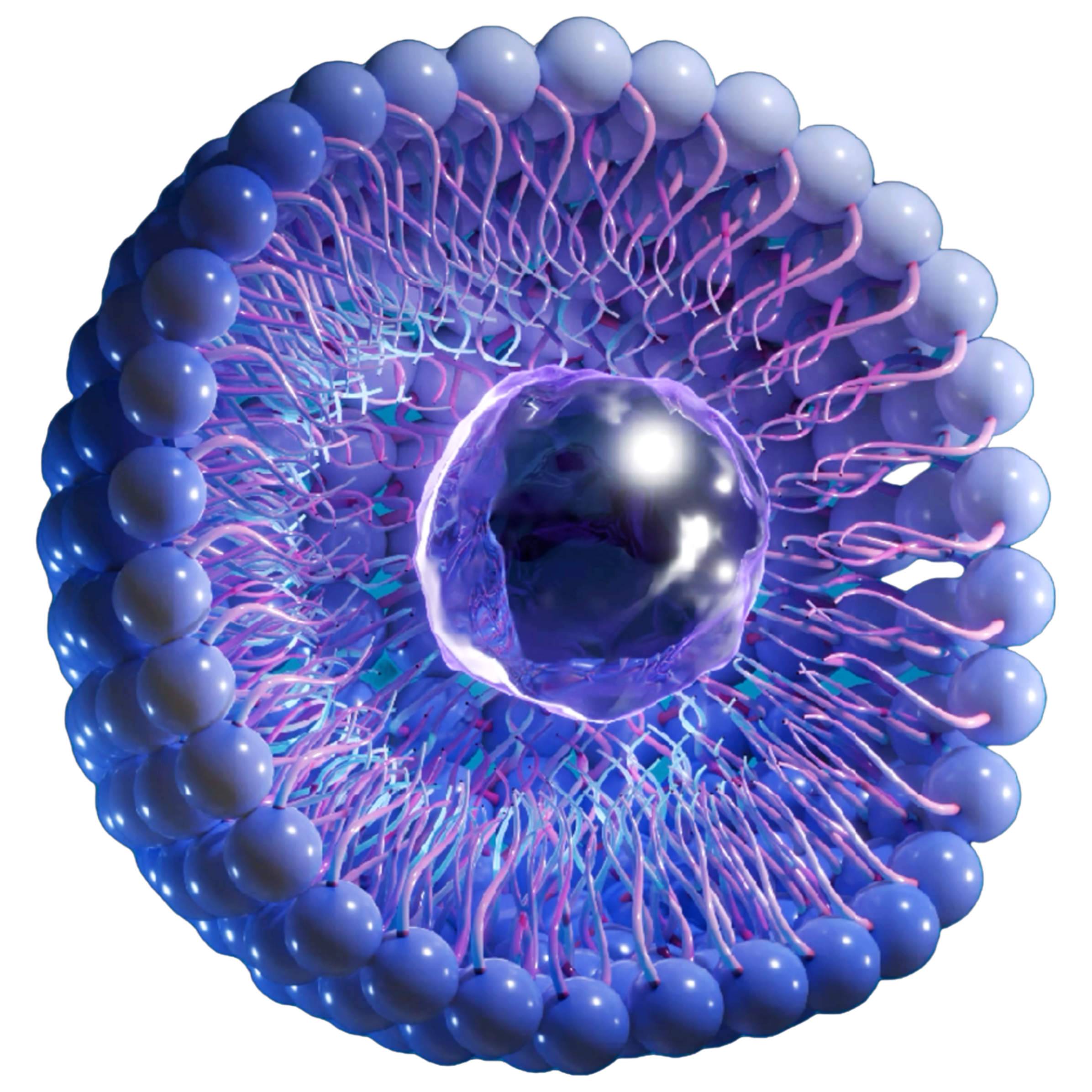 Nanolute - Sirolimus Coated Balloon- MagicTouch PTA